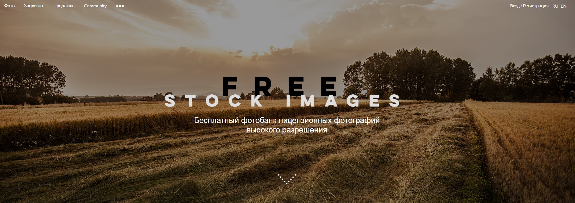 FREE STOCK IMAGES