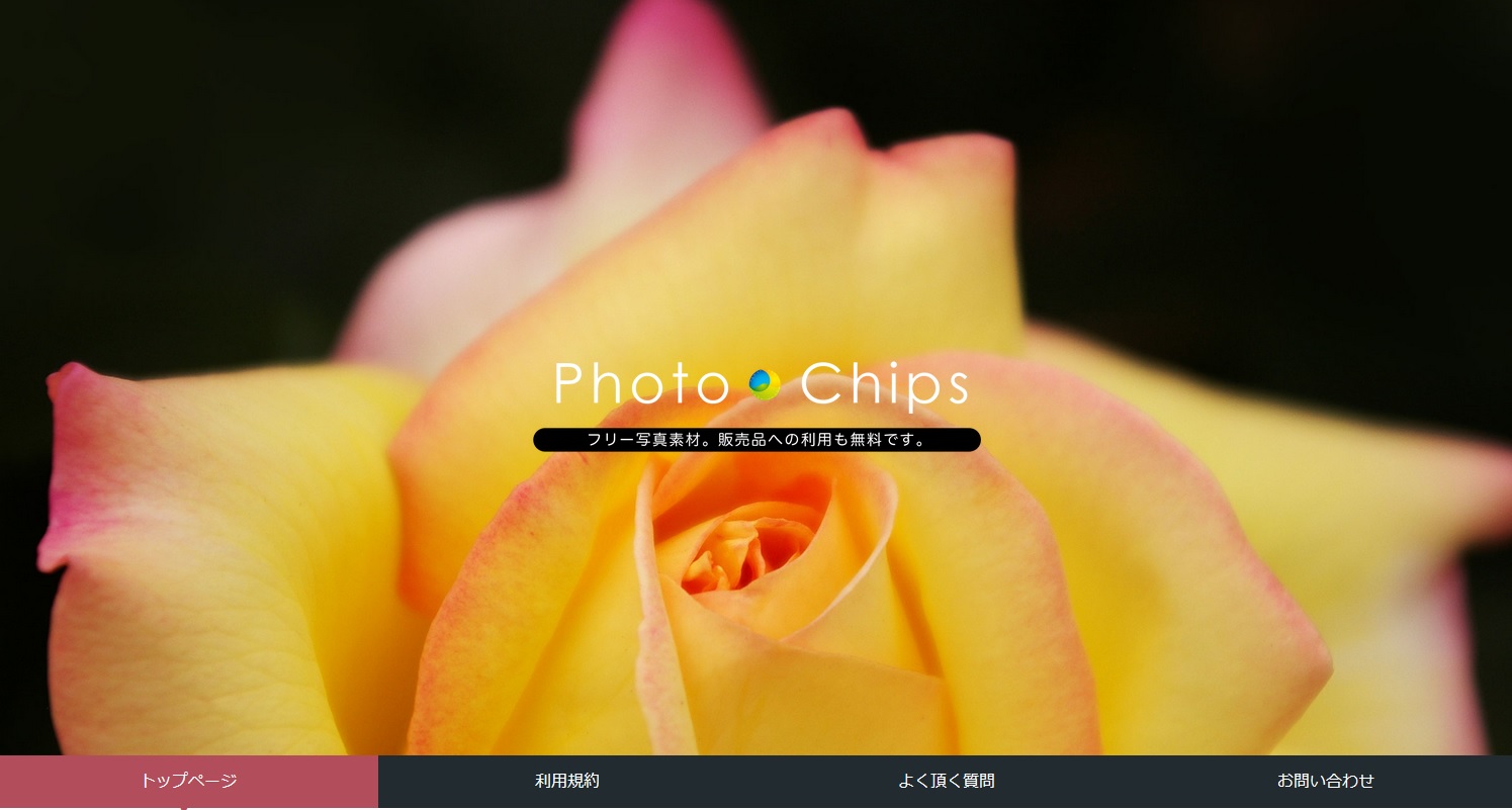 Photo Chips
